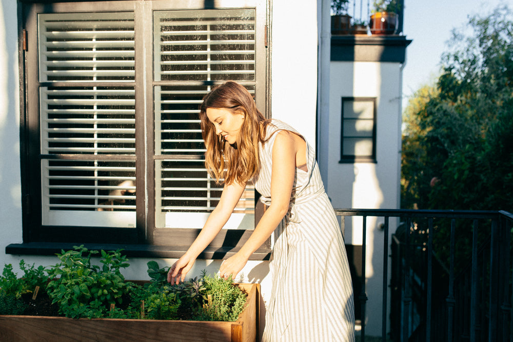 How to Start an Herb Garden with Geri Hirsch