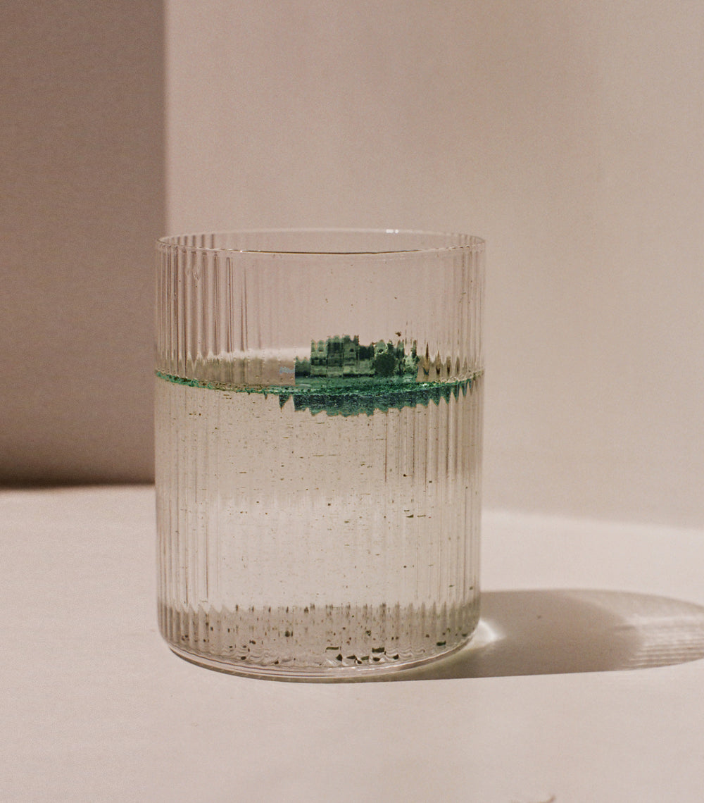 Wait, What Does Synbiotic Mean?