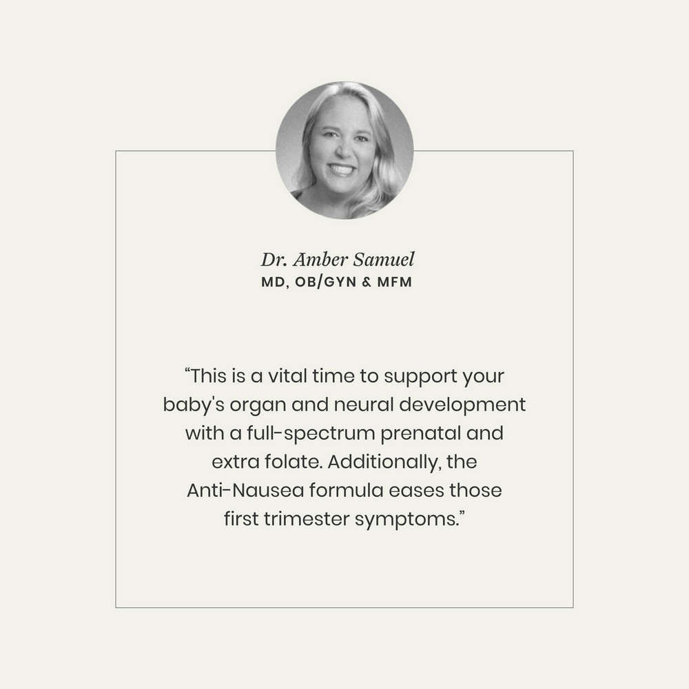 1st Trimester Prenatal Pack