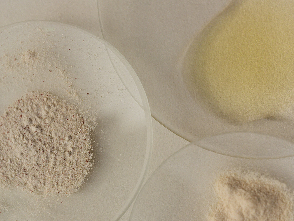 The Best Probiotics for Female Fertility: Key Strains