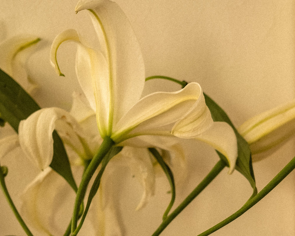 “It’s a Hard Journey.” Navigating the Ups and Downs of Infertility, According to Our Community