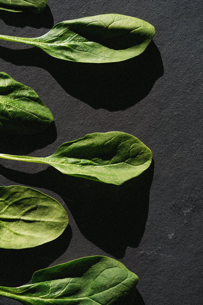Anemia 101: Here's What We Need to Know