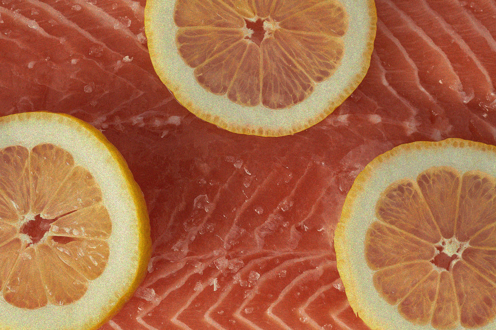 Salmon Omega Recipe