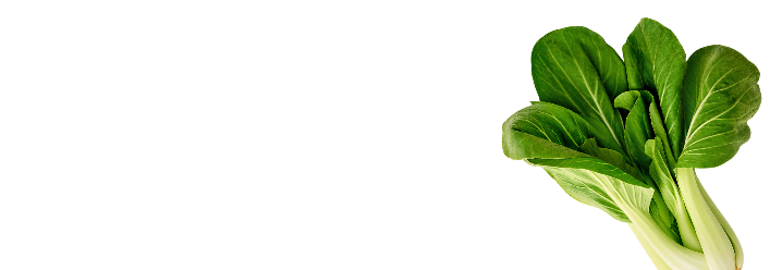 Magnesium