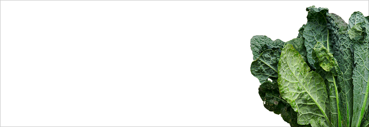 Methylfolate (5-MTHF)