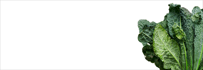 Methylfolate (5-MTHF)