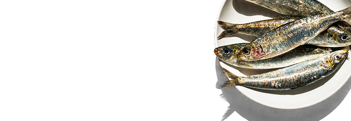 Omega DHA + EPA