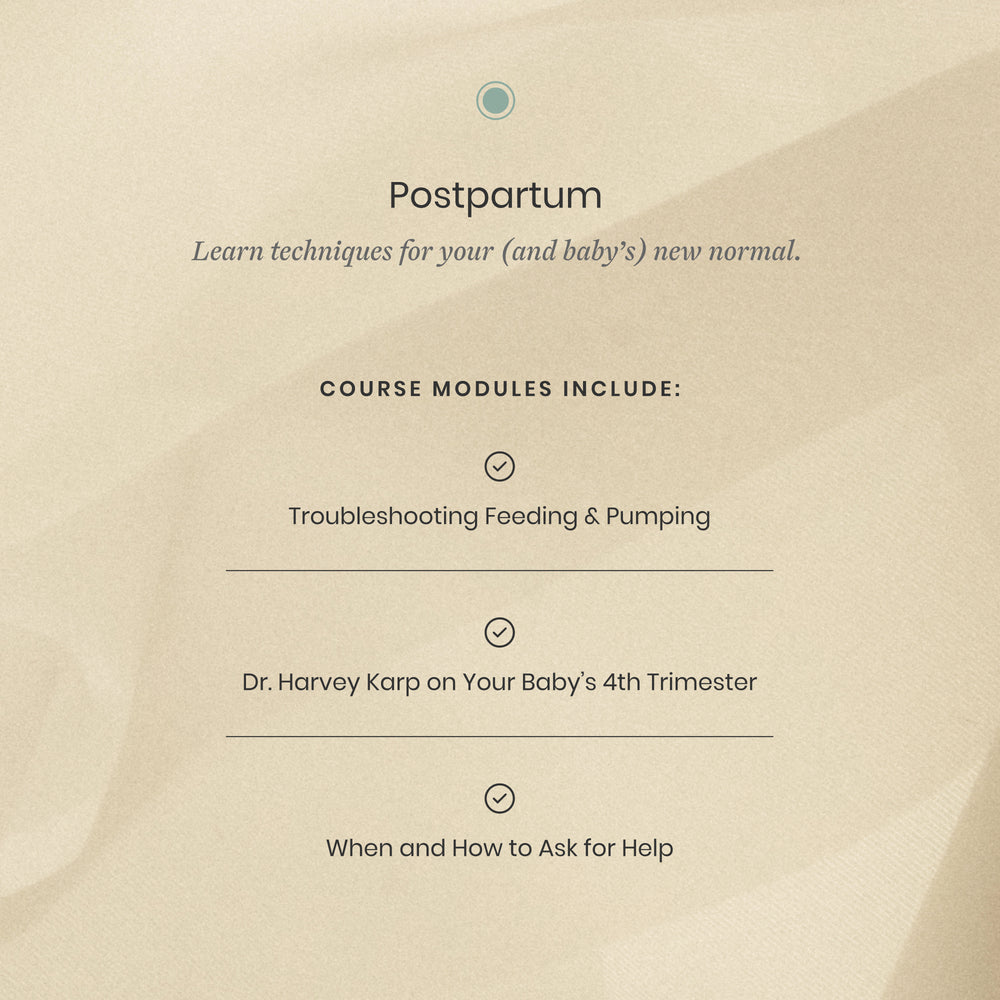 The Pregnancy & Postpartum Program