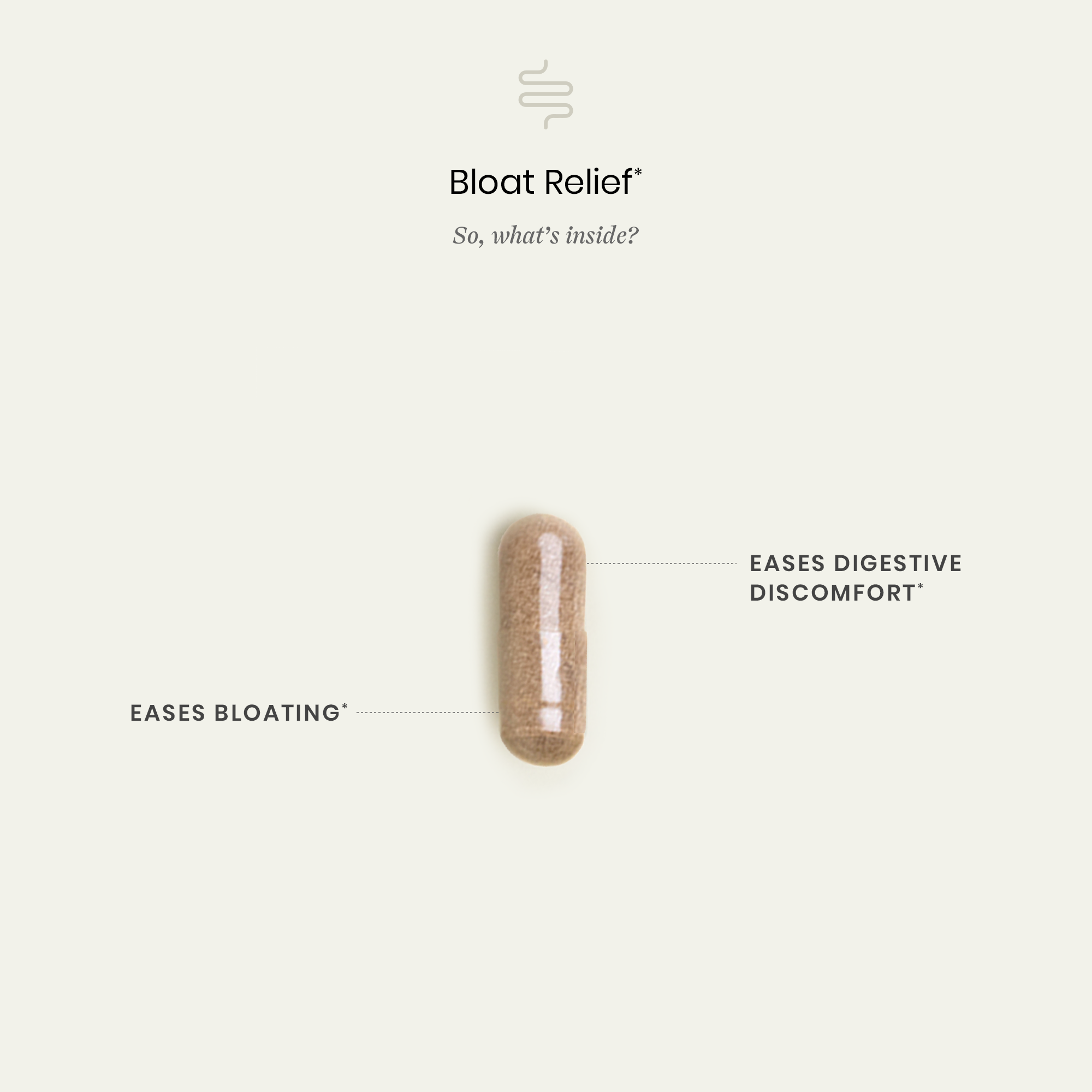Bloat Relief  Ingredients and Benefits