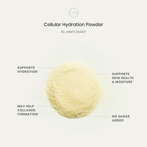 hydration powder ingredients and benefits