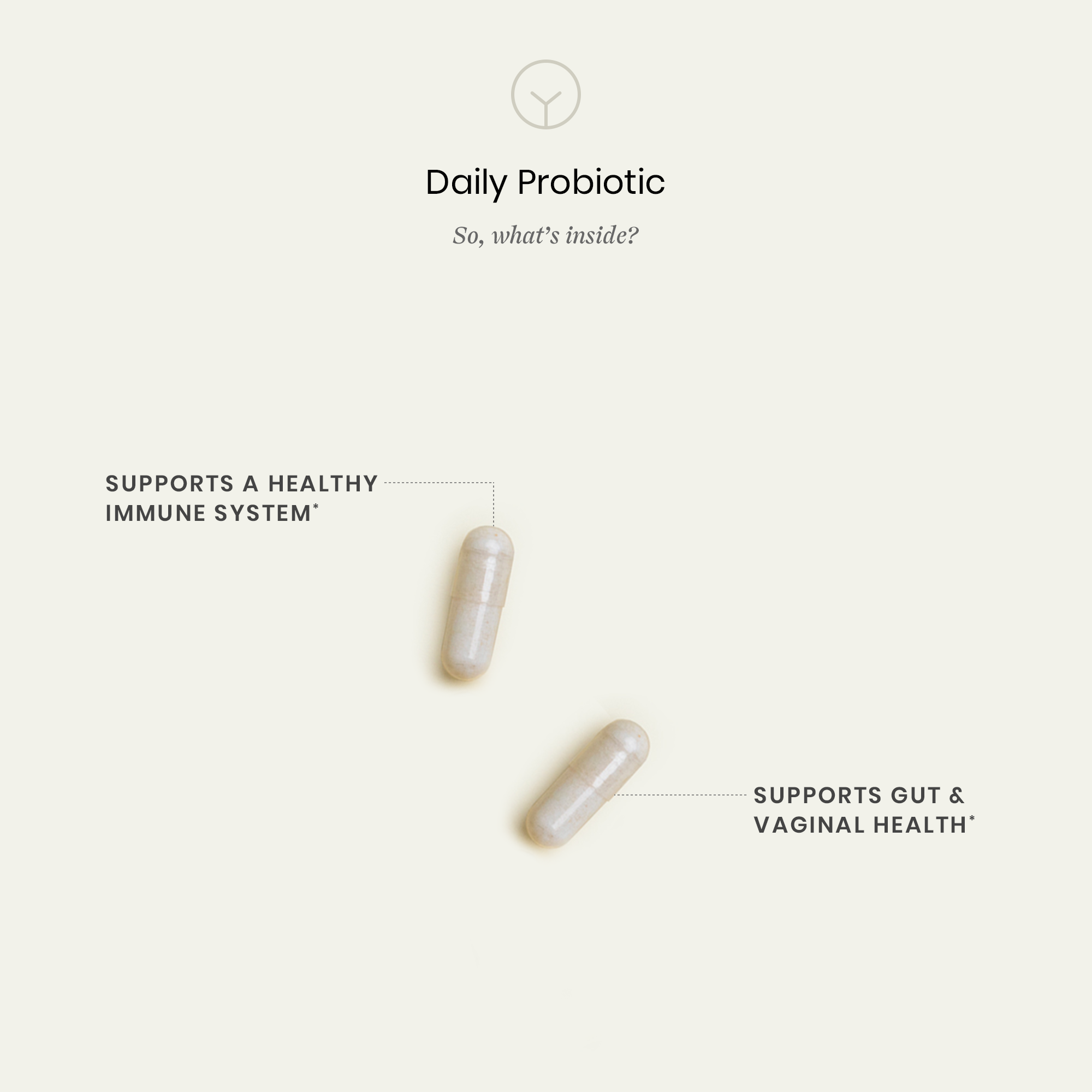 Daily Probiotic  Ingredients and Benefits