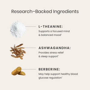Illustration of L-Theanine, Ashwagandha, and Berberine with text on a light background