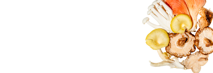 Riboflavin