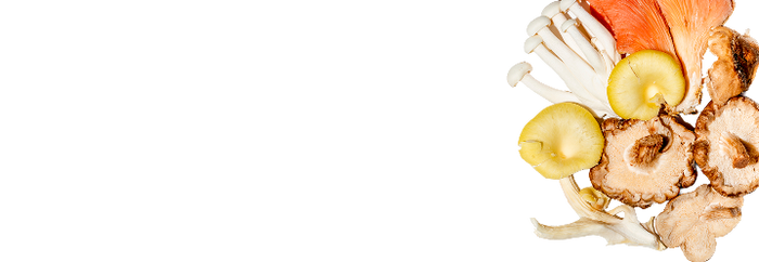 Riboflavin